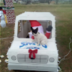 Meet your Posher, Ralph